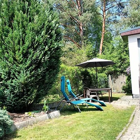 Randy's House * Pilzno