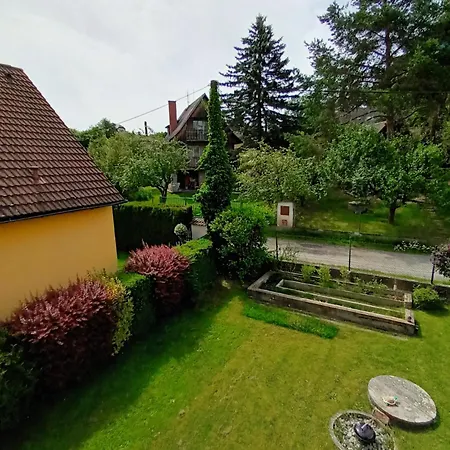 Randy's House