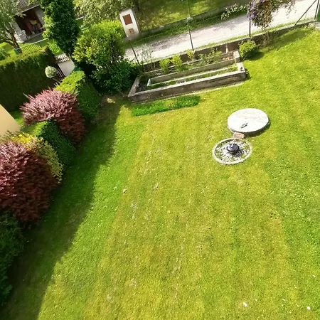 Randy's House פלזן