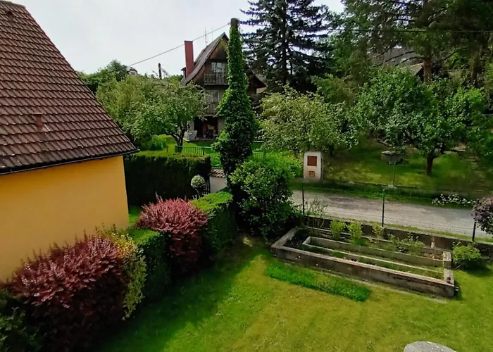 Randy's House
