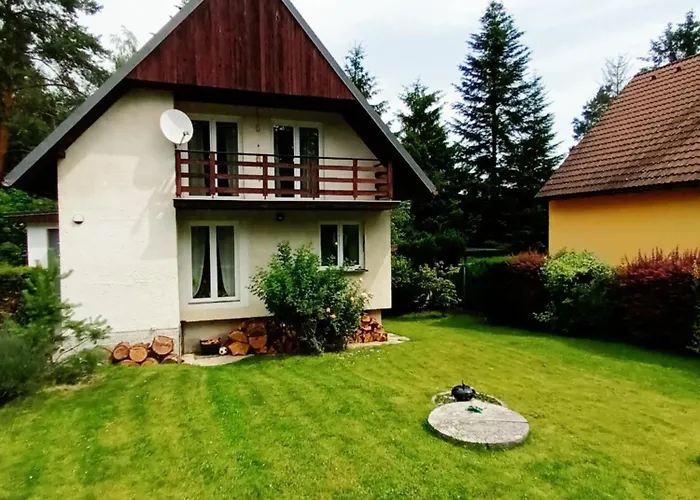 Randy's House * Plzeň