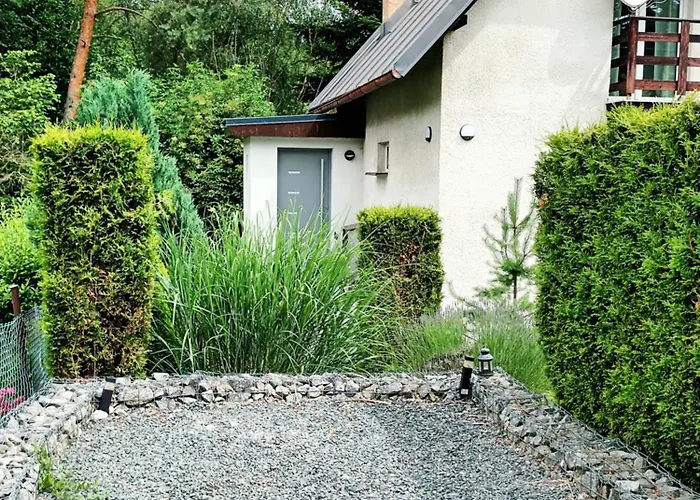 Randy's House